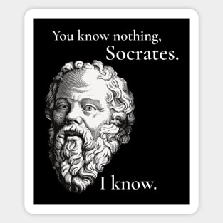 You know nothing, Socrates Sticker